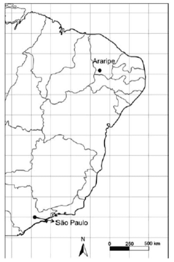 Mapa com Araripe e São Paulo, limites estaduais, grade de referência, seta norte e escala 0/250/500 km.