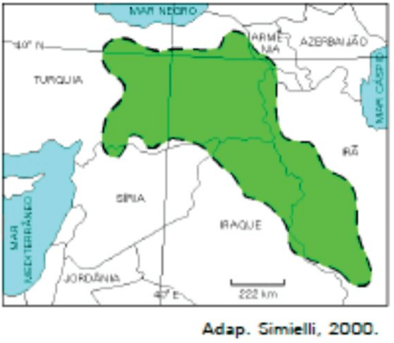 Região em verde no Oriente Médio, países, mares, coordenadas, escala 222 km e crédito Adap. Simielli, 2000.