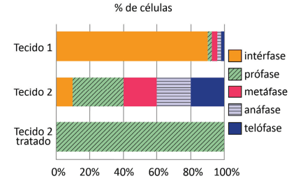 Imagem incorporada pela fonte (Kuadro) sem texto alternativo; conteúdo a descrever na revisão.