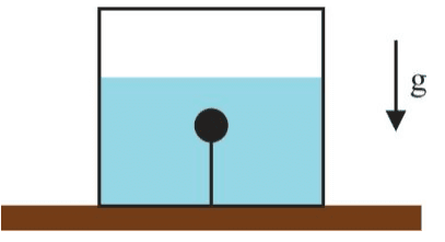 Objeto submerso preso ao fundo do aquário por um fio; água e sentido de g para baixo.