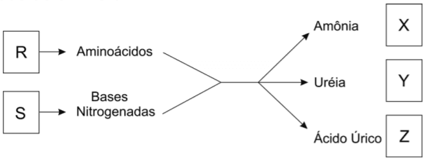 Imagem incorporada pela fonte (Kuadro) sem texto alternativo; conteúdo a descrever na revisão.