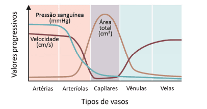 Imagem incorporada pela fonte (Kuadro) sem texto alternativo; conteúdo a descrever na revisão.
