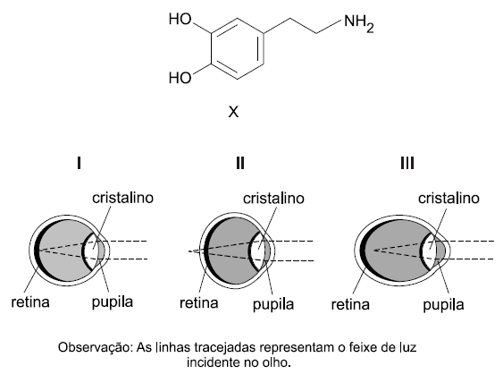 Imagem incorporada pela fonte (Kuadro) sem texto alternativo; conteúdo a descrever na revisão.