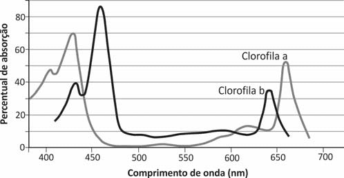 Percentual de absorção em função do comprimento de onda em nm; curvas com rótulos Clorofila a e Clorofila b, recuperados da prova oficial.