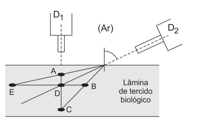 Detectores D1 e D2 no ar e lâmina de tecido biológico com cinco posições A a E para a estrutura fluorescente.