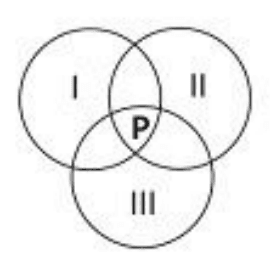 Alternativa a: três círculos com I, II e III; P na interseção dos três.