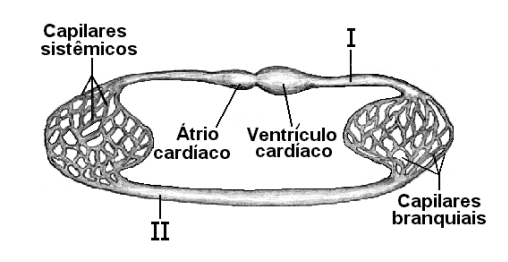 Imagem incorporada pela fonte (Kuadro) sem texto alternativo; conteúdo a descrever na revisão.