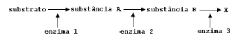 Via metabólica: substrato, substância A, substância B e X, com enzimas 1, 2 e 3.