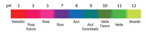 Imagem incorporada pela fonte (Kuadro) sem texto alternativo; conteúdo a descrever na revisão.