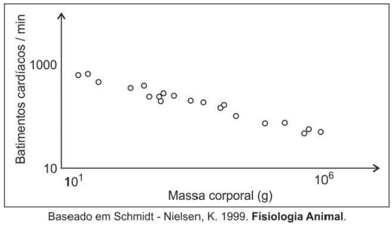 Gráfico de batimentos cardíacos por minuto em função da massa corporal de mamíferos, escalas logarítmicas e referência Schmidt-Nielsen.