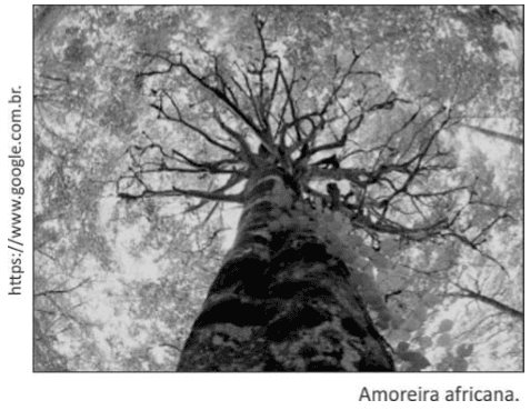 Imagem incorporada pela fonte (Kuadro) sem texto alternativo; conteúdo a descrever na revisão.