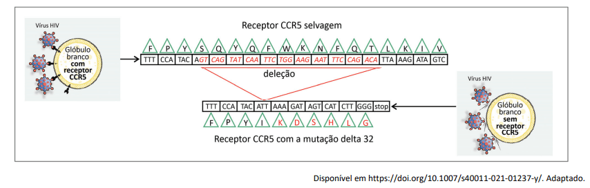 Imagem incorporada pela fonte (Kuadro) sem texto alternativo; conteúdo a descrever na revisão.