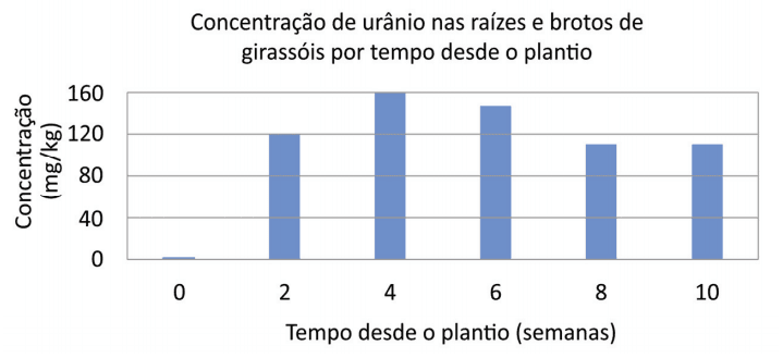 Imagem incorporada pela fonte (Kuadro) sem texto alternativo; conteúdo a descrever na revisão.