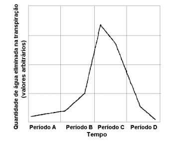 Imagem incorporada pela fonte (Kuadro) sem texto alternativo; conteúdo a descrever na revisão.