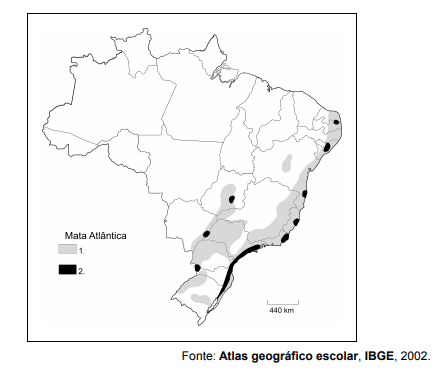 Imagem incorporada pela fonte (Kuadro) sem texto alternativo; conteúdo a descrever na revisão.