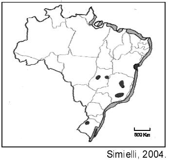 Imagem incorporada pela fonte (Kuadro) sem texto alternativo; conteúdo a descrever na revisão.