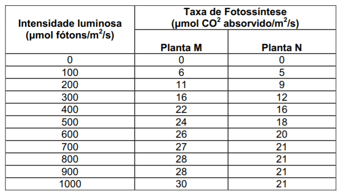 Imagem incorporada pela fonte (Kuadro) sem texto alternativo; conteúdo a descrever na revisão.