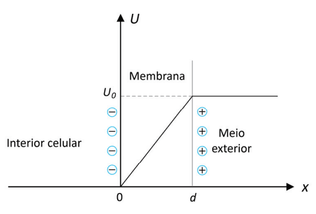 Imagem incorporada pela fonte (Kuadro) sem texto alternativo; conteúdo a descrever na revisão.