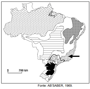 Imagem incorporada pela fonte (Kuadro) sem texto alternativo; conteúdo a descrever na revisão.