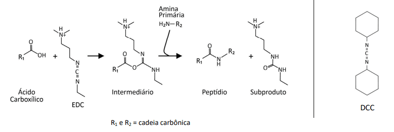 Imagem incorporada pela fonte (Kuadro) sem texto alternativo; conteúdo a descrever na revisão.