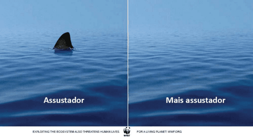 Imagem incorporada pela fonte (Kuadro) sem texto alternativo; conteúdo a descrever na revisão.