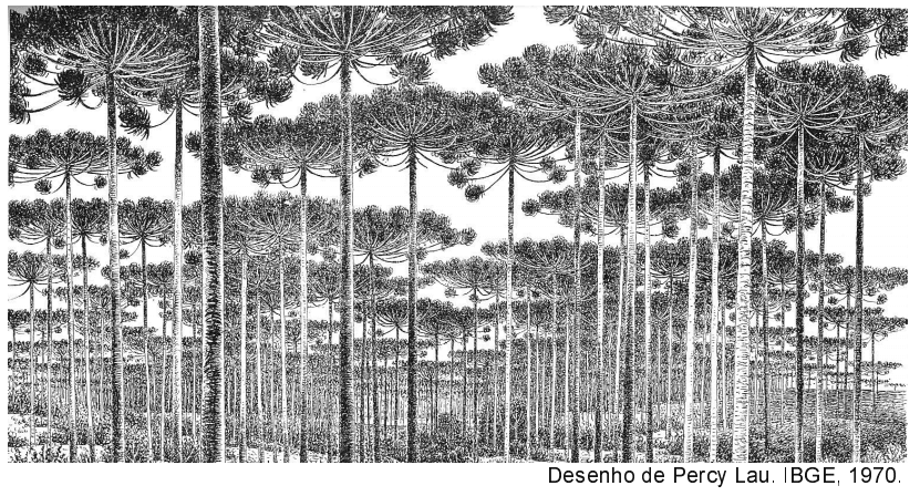 Imagem incorporada pela fonte (Kuadro) sem texto alternativo; conteúdo a descrever na revisão.