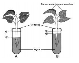 Imagem incorporada pela fonte (Kuadro) sem texto alternativo; conteúdo a descrever na revisão.