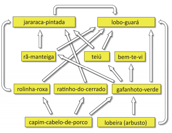 Imagem incorporada pela fonte (Kuadro) sem texto alternativo; conteúdo a descrever na revisão.