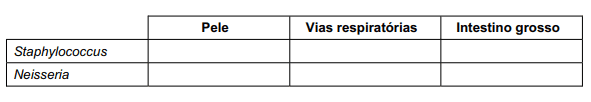 Imagem incorporada pela fonte (Kuadro) sem texto alternativo; conteúdo a descrever na revisão.