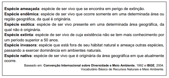 Imagem incorporada pela fonte (Kuadro) sem texto alternativo; conteúdo a descrever na revisão.