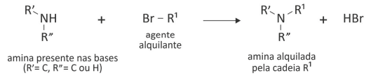 Imagem incorporada pela fonte (Kuadro) sem texto alternativo; conteúdo a descrever na revisão.