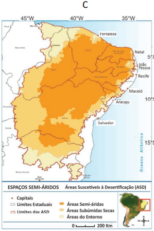 Imagem incorporada pela fonte (Kuadro) sem texto alternativo; conteúdo a descrever na revisão.