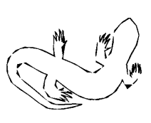 Imagem incorporada pela fonte (Kuadro) sem texto alternativo; conteúdo a descrever na revisão.