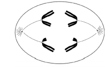 Imagem incorporada pela fonte (Kuadro) sem texto alternativo; conteúdo a descrever na revisão.