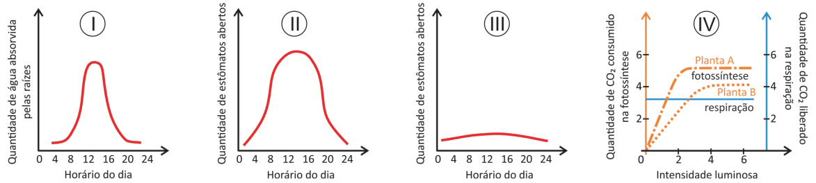 Imagem incorporada pela fonte (Kuadro) sem texto alternativo; conteúdo a descrever na revisão.