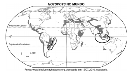 Imagem incorporada pela fonte (Kuadro) sem texto alternativo; conteúdo a descrever na revisão.