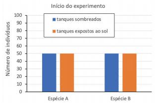 Imagem incorporada pela fonte (Kuadro) sem texto alternativo; conteúdo a descrever na revisão.