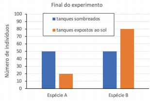 Imagem incorporada pela fonte (Kuadro) sem texto alternativo; conteúdo a descrever na revisão.