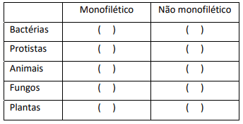 Imagem incorporada pela fonte (Kuadro) sem texto alternativo; conteúdo a descrever na revisão.