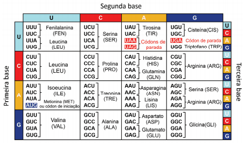 Imagem incorporada pela fonte (Kuadro) sem texto alternativo; conteúdo a descrever na revisão.