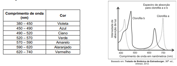 Imagem incorporada pela fonte (Kuadro) sem texto alternativo; conteúdo a descrever na revisão.