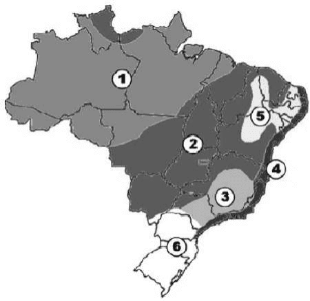 Mapa do Brasil com seis áreas climáticas, números1a6, limites estaduais e contorno completo.