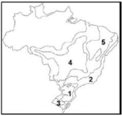 Mapa do Brasil com áreas numeradas1a5 e limites dos domínios, contorno completo.