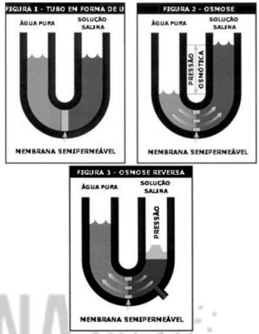 Três diagramas de tubo em U: osmose e osmose reversa. Recurso osmose.