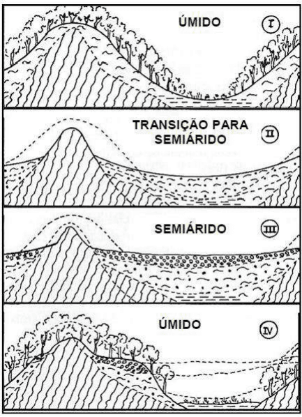 Quatro painéis de uma seção de relevo: I, Úmido; II, Transição para semiárido; III, Semiárido; IV, Úmido. São mostrados os perfis do vale e a cobertura vegetal.