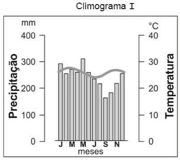 Climograma I, meses J M M J S N, precipitação em mm de0a400 e temperatura em °C de0a40; barras e curva, duas legendas completas.