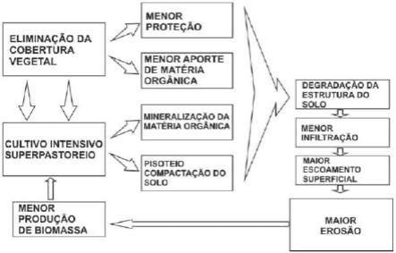 Ilustração de perda de solo ou fluxograma de degradação das terras, conforme arquivo; rótulos e números originais preservados.