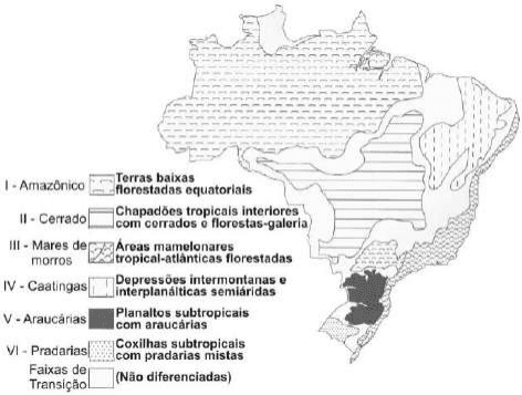 Mapa do Brasil com seis domínios I a VI e faixas de transição; legenda completa com terras baixas, chapadões, áreas mamelonares, depressões, planaltos e coxilhas.