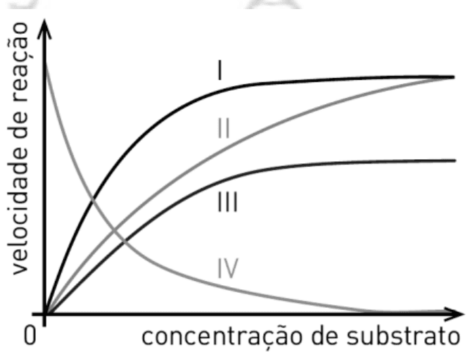 Curvas I a IV: velocidade de reação em função da concentração do substrato.