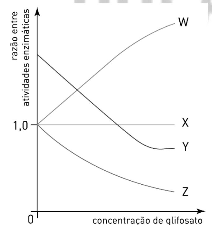 Curvas W, X, Y e Z: razão entre atividades de EPSP-sintase em função da concentração de glifosato.